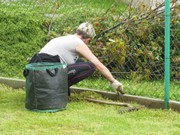 Výsadba na školní zahradě